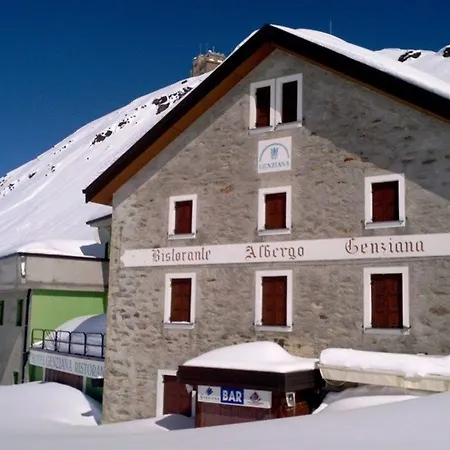 Genziana 3* Passo Stelvio